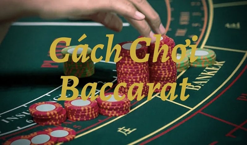 Hướng dẫn cụ thể cách chơi baccarat online cực đơn giản cho người mới